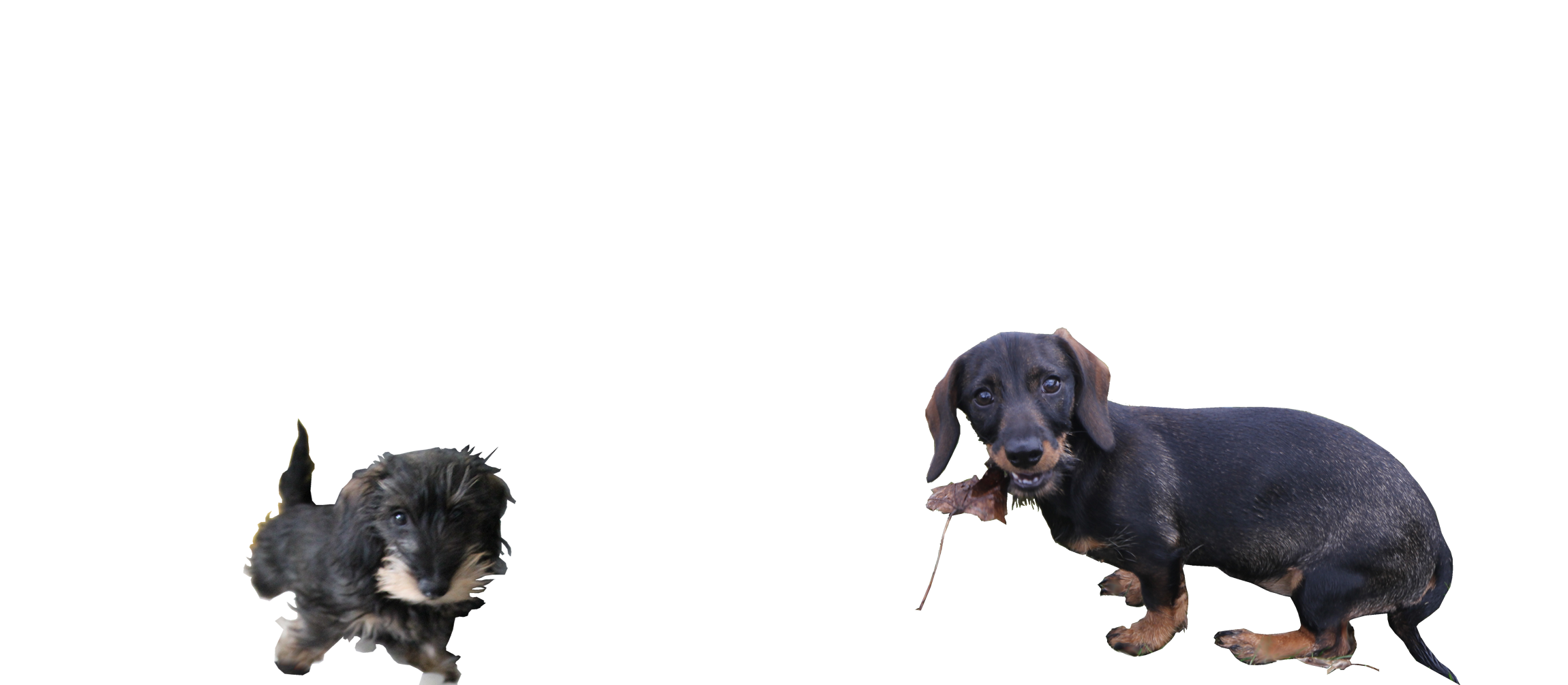 Diskussion