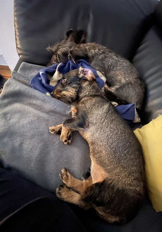 couch02.jpg