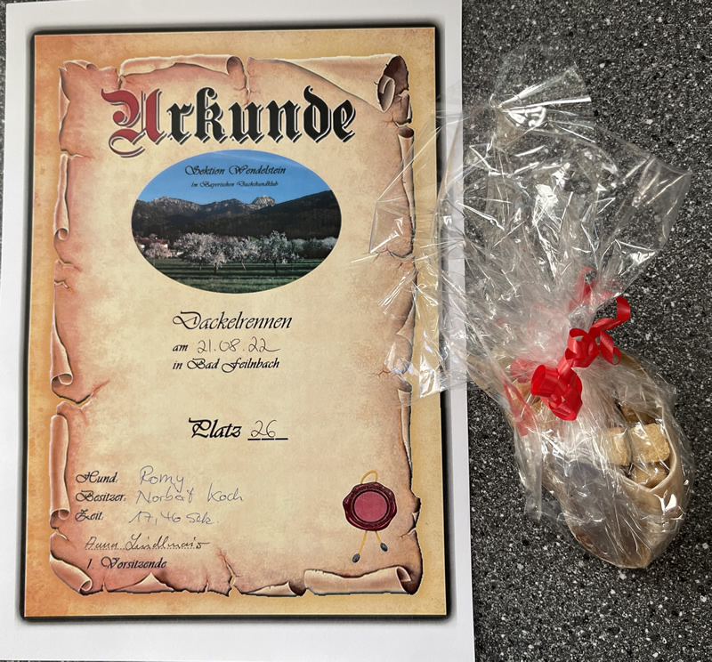 urkunde_romy.jpg