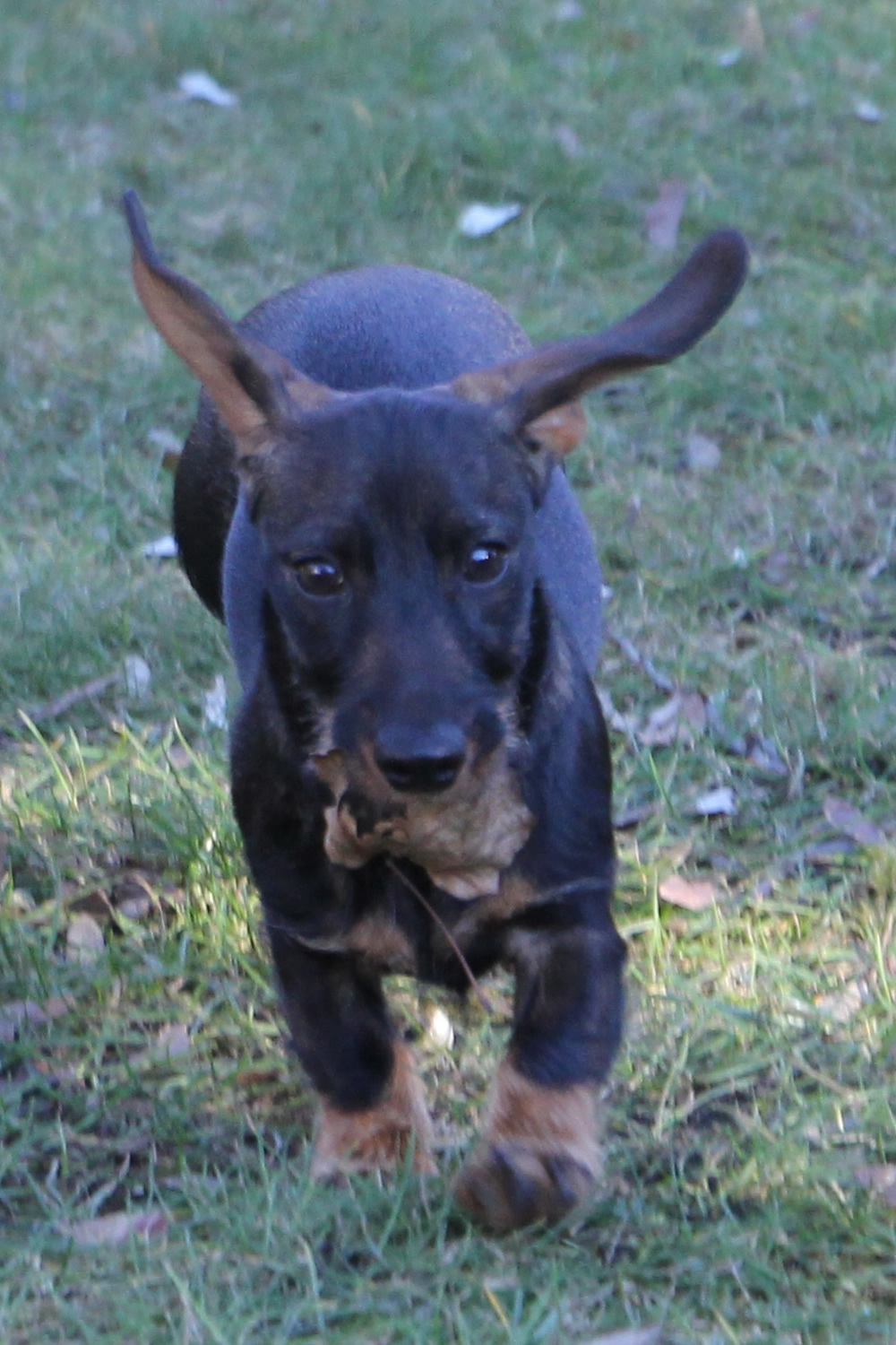 jette-2019-01-27-bild01.jpg